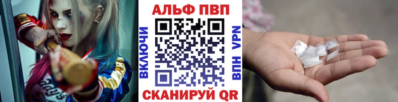 где можно купить   Сунжа  APVP мука 