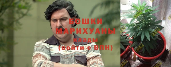 ALPHA PVP Алзамай