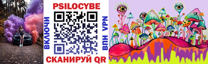 Псилоцибиновые грибы Psilocybine cubensis где продают Сунжа