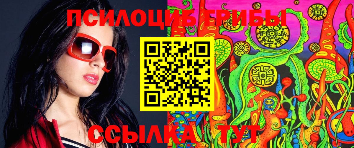 Псилоцибиновые грибы Cubensis  Вход с VPN  Сунжа 