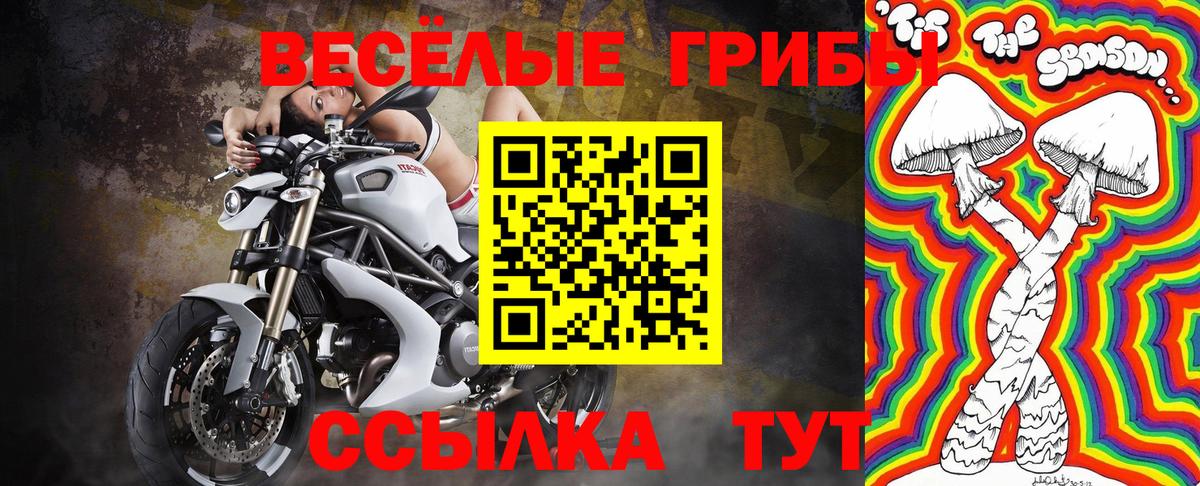 Псилоцибиновые грибы ЛСД Сунжа